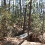 Buescher State Park