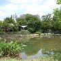Auditorium Shores