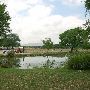Auditorium Shores