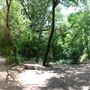 Judson Nature Trails