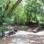 Incarnate Word College