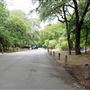 Brackenridge Park