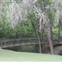 Pecan Creek Trail