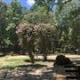 The Flying H Ranch