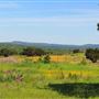 Lost Springs Ranch