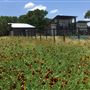 Lost Springs Ranch