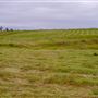 Dockery Ranch