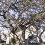 Mineral Wells Churches