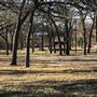Texas Frontier Trails Western Heritage Park