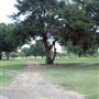 McQuinney Howell Wright Park Municipal Golf Course