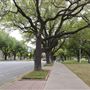Texas Christian University