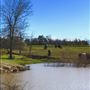 Obregon Ranch