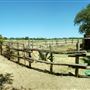 Old Ponderosa Ranch