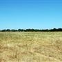 Old Ponderosa Ranch