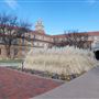 Texas Tech University