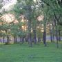 Morford Ranch
