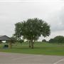 Kitty Hollow Park