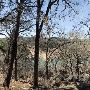 Milton Reimers Ranch County Park