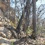 Milton Reimers Ranch County Park