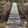 W G Jones State Forest