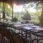 Sabor A Pasion Estate & Vineyard