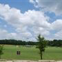 Alex Patel Soccer Complex
