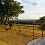 Inspiring Oaks Ranch