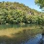 Red Bud Isle