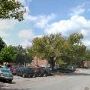 McCallum High School