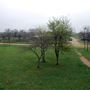 Comanche Country Ranch & Event Venue