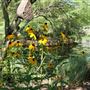 Clark Gardens Botanical Park
