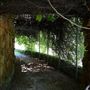 Clark Gardens Botanical Park