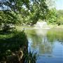 Clark Gardens Botanical Park