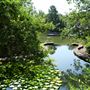 Clark Gardens Botanical Park