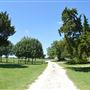Cedar Isle Ranch