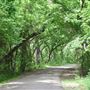 Bonham State Park