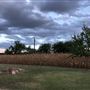 Gil Farmhouse & Cornfield