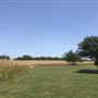 Gil Farmhouse & Cornfield
