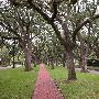Broadacres Neighborhood - Between North and South Blvd