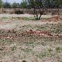 Mackenzie Park - Prairie Dog Town