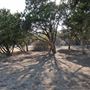 Walnut Creek Metropolitan Park