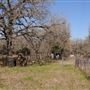 Rural Farm - Two House Property