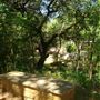 UMLAUF Sculpture Garden and Museum