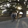 Lily Oaks