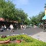 SeaWorld Adventure Park