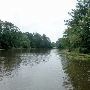 Martin Dies, Jr. State Park