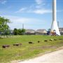 Cherry Point Park