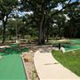 Lake Bastrop - South Shore Park