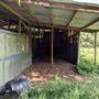 Rural Farm - Two House Property