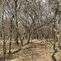 Bastrop County Nature Park